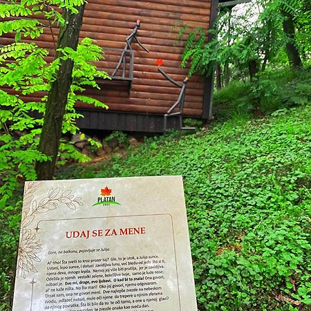 Ferienwohnung Oaza Prirode, Brvnare Platan Vrdnik Exterior foto