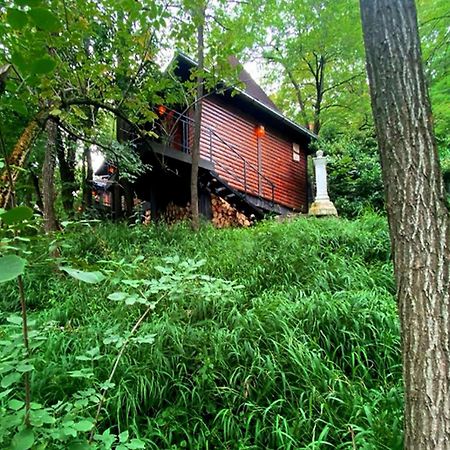 Ferienwohnung Oaza Prirode, Brvnare Platan Vrdnik Exterior foto