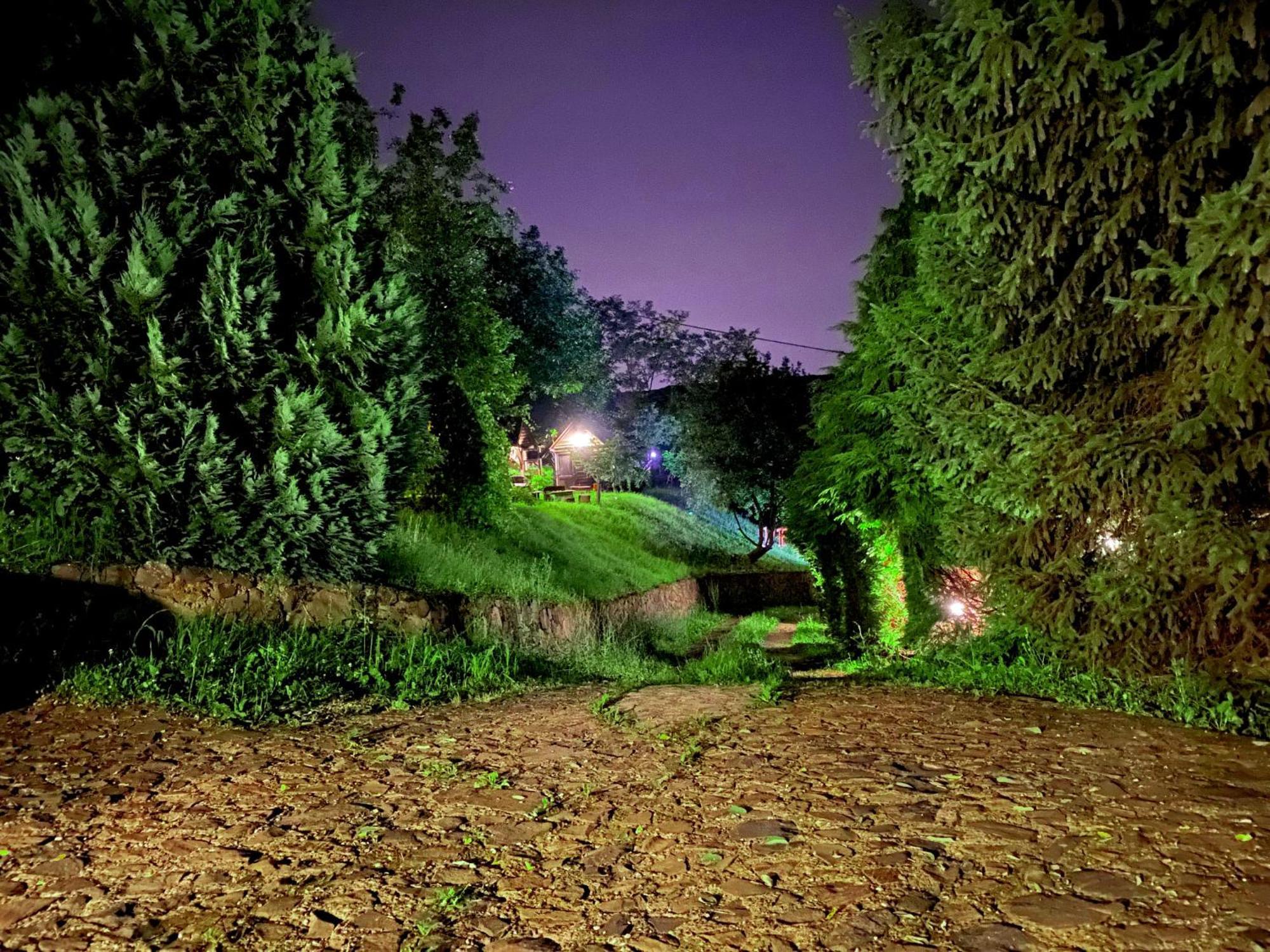 Ferienwohnung Oaza Prirode, Brvnare Platan Vrdnik Exterior foto