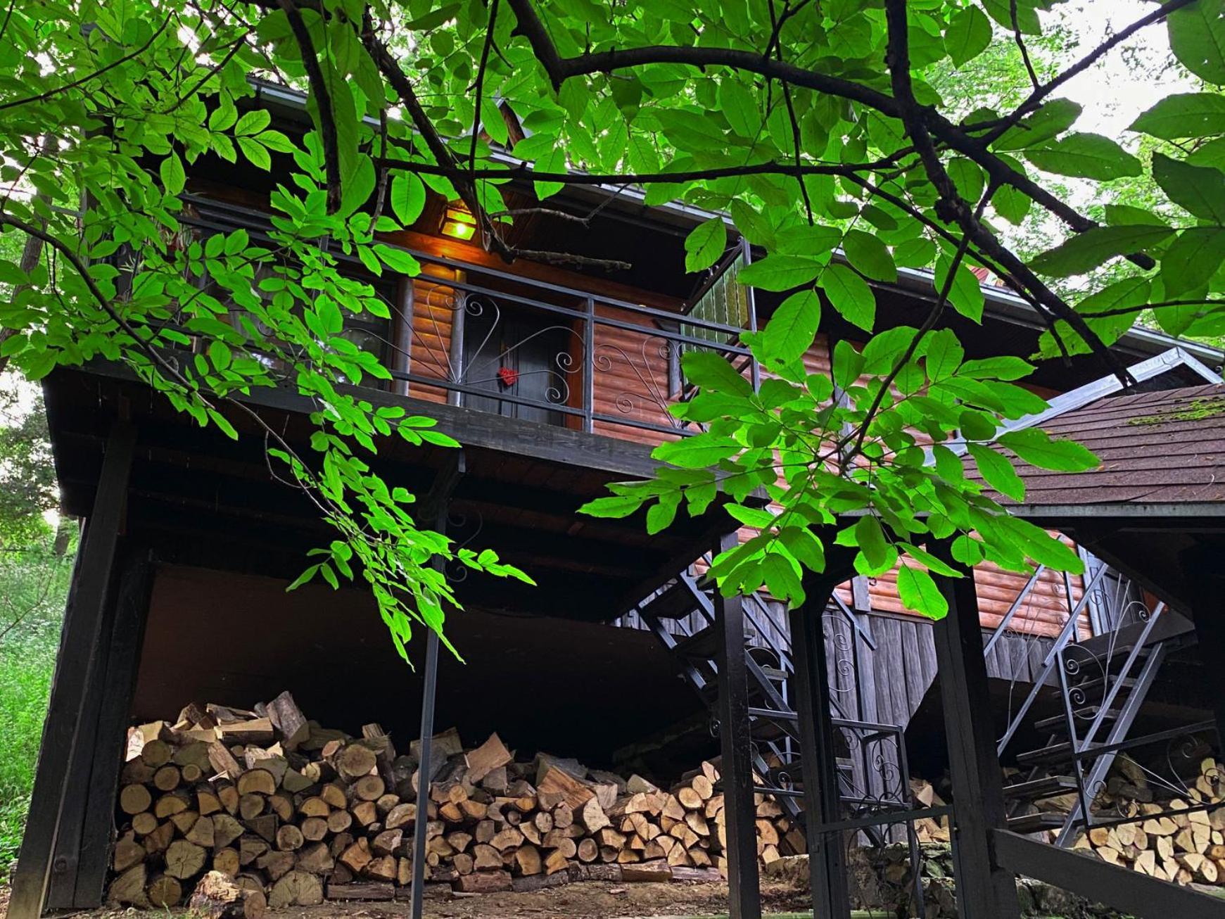 Ferienwohnung Oaza Prirode, Brvnare Platan Vrdnik Exterior foto