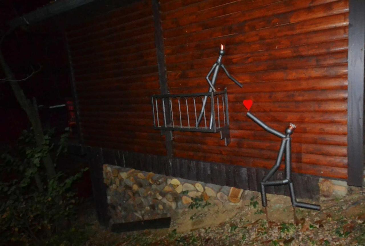 Ferienwohnung Oaza Prirode, Brvnare Platan Vrdnik Exterior foto