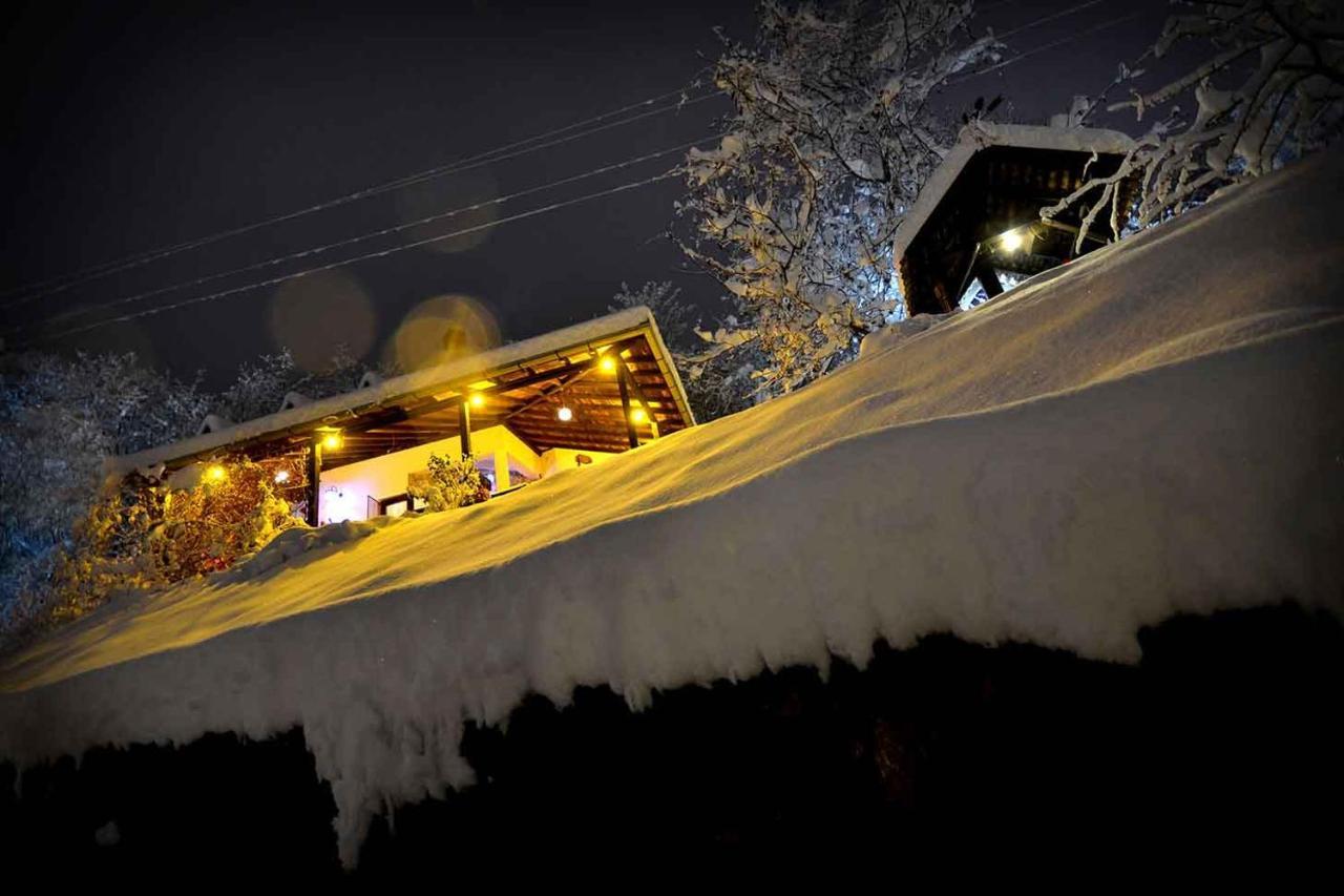 Ferienwohnung Oaza Prirode, Brvnare Platan Vrdnik Exterior foto